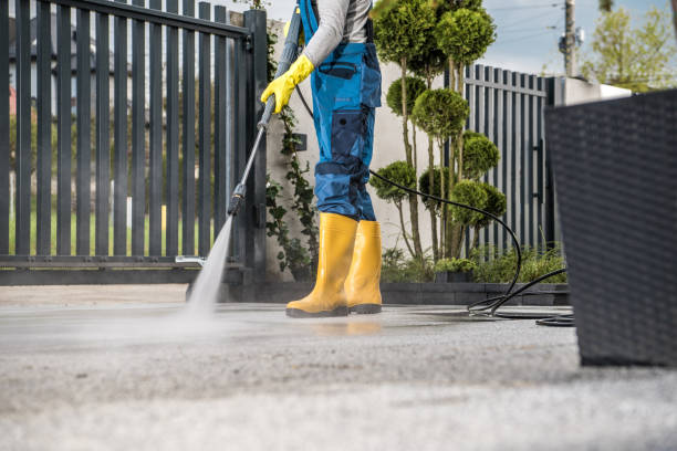 Best Soft Washing  in Davenport, WA